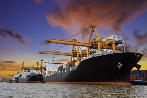 國際海運中時效不一樣是因為什么？